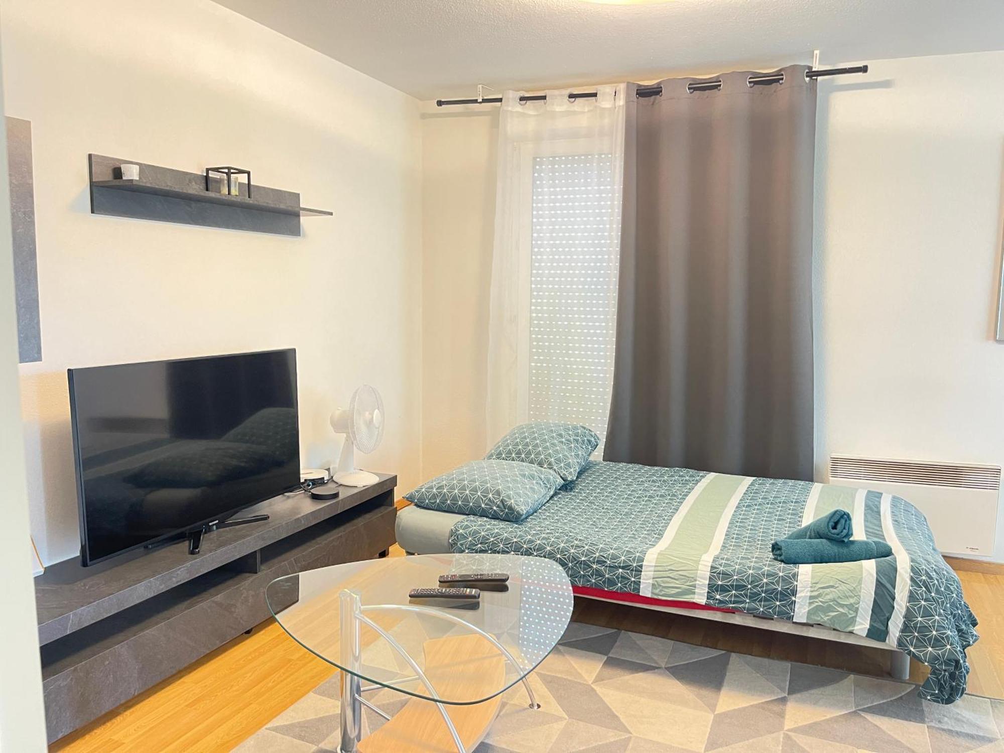 Апартаменти Flat At Border Suisse Сен-Луї Екстер'єр фото